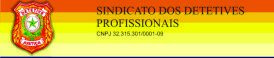 Sindicato dos Detetives